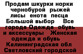 Продам шкурки норки, чернобурой, рыжей лисы, енота, песца. Большой выбор. - Все города Одежда, обувь и аксессуары » Женская одежда и обувь   . Калининградская обл.,Светловский городской округ 